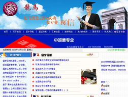 北京網站建設指南 選擇龍鼎網絡，打造專業在線形象